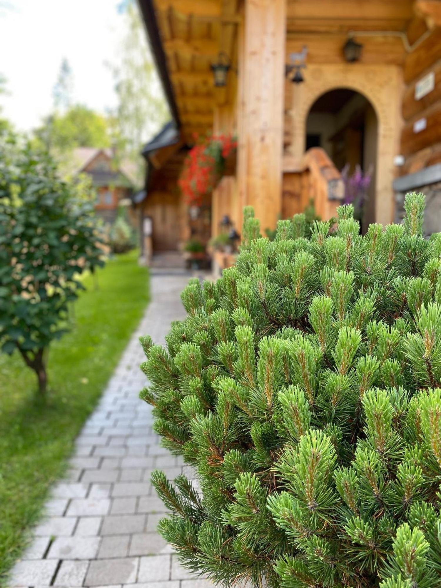 Apartamenty u Giewonta Zakopane Bagian luar foto